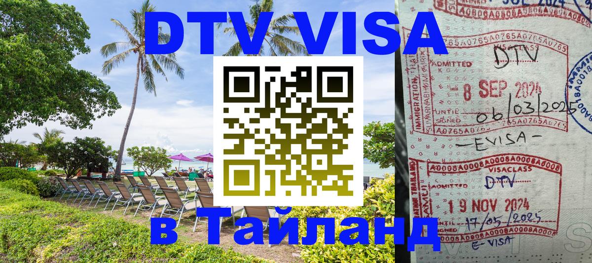 Сколько стоит DTV виза — актуальные цены, оформление даже без документов - 